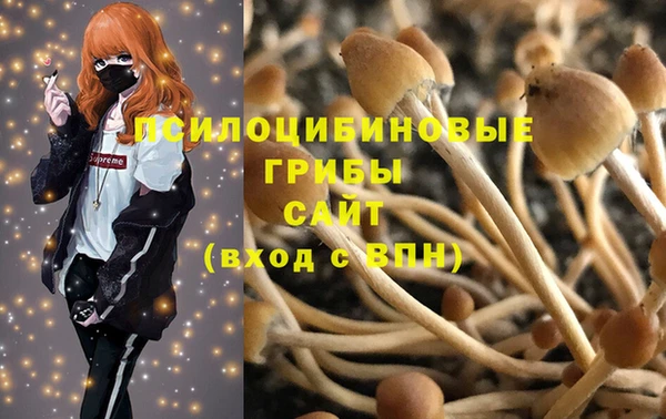 первитин Алексеевка